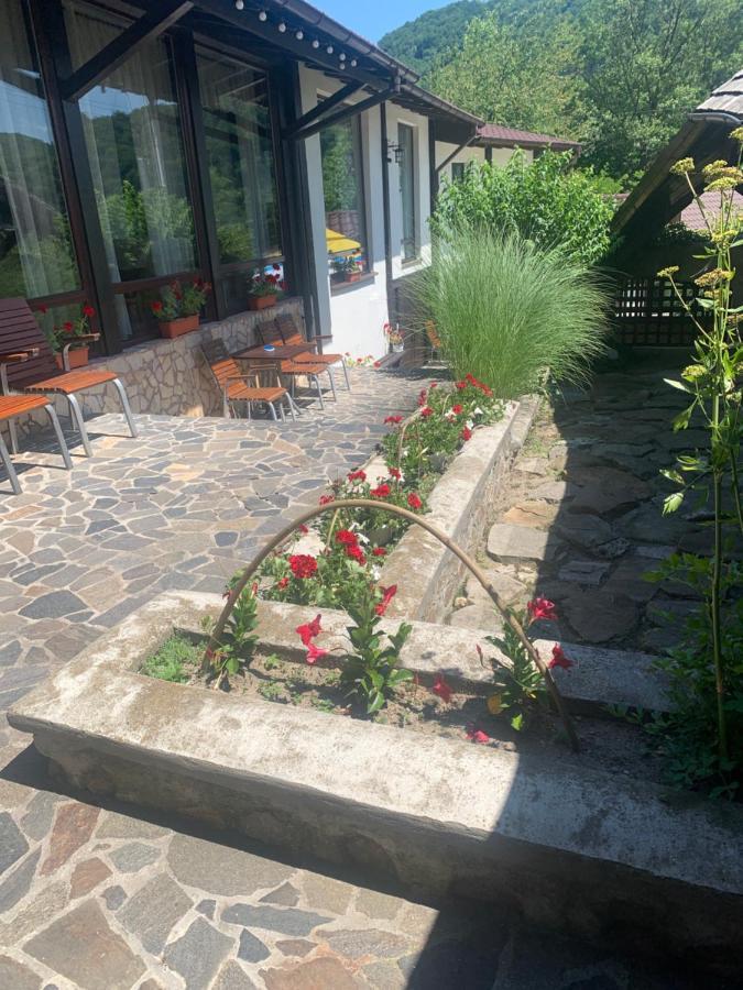 No Comment Rustic Hotell Curtea de Argeş Eksteriør bilde